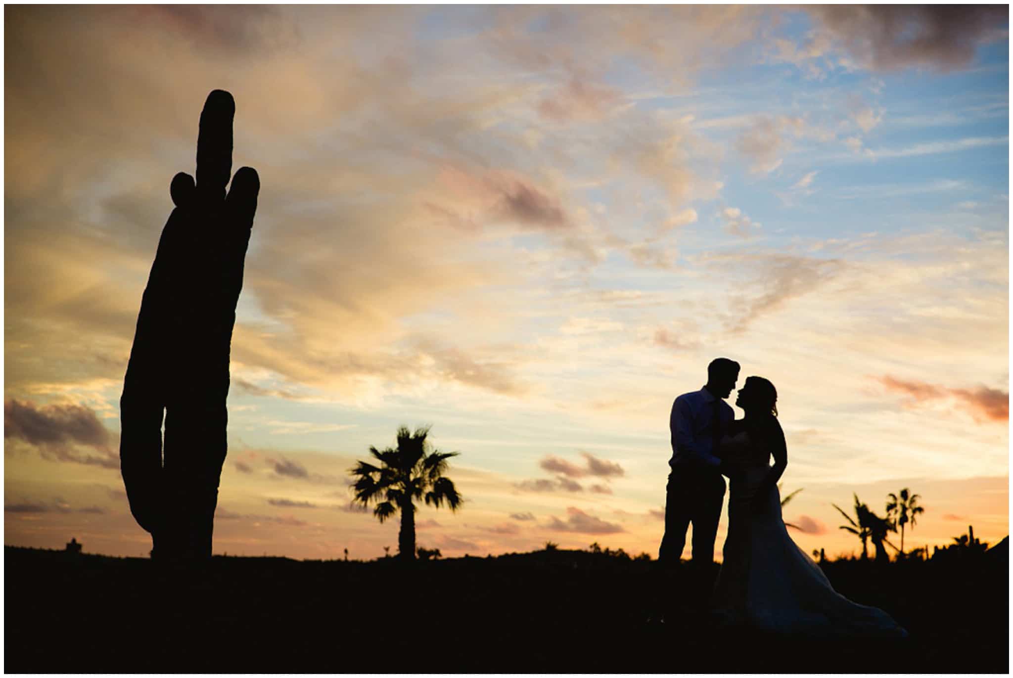 Cabo-Wedding-Photographer---Sara-Richardson_1227